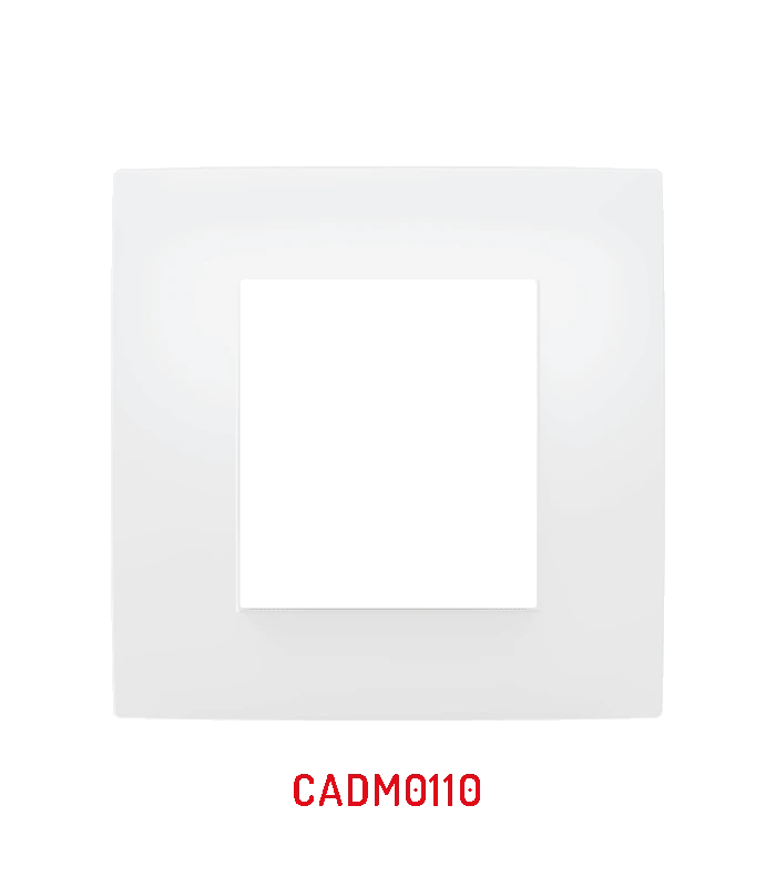 CADRE 1 P MILLINIUM NATURE